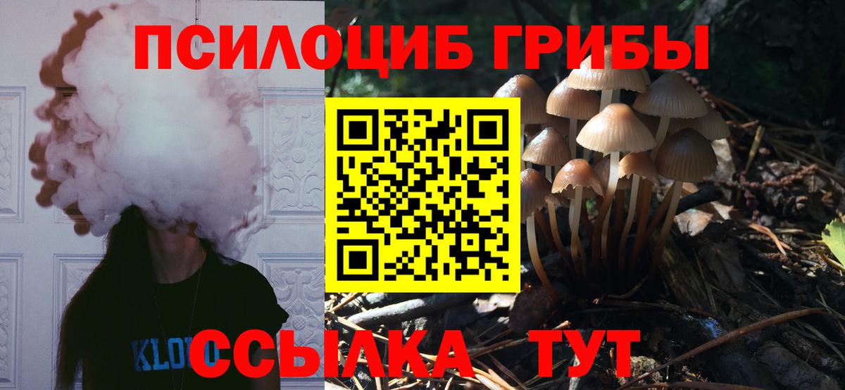 Псилоцибиновые грибы GOLDEN TEACHER Ковров